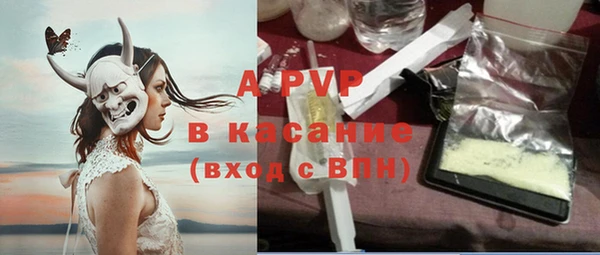 ECSTASY Белокуриха