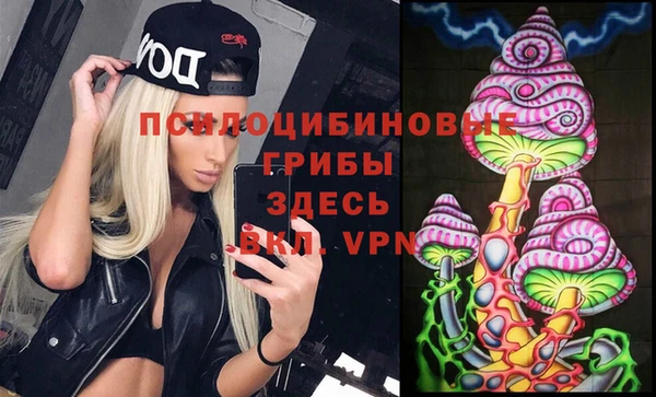 spice Беломорск