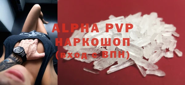 ECSTASY Белокуриха