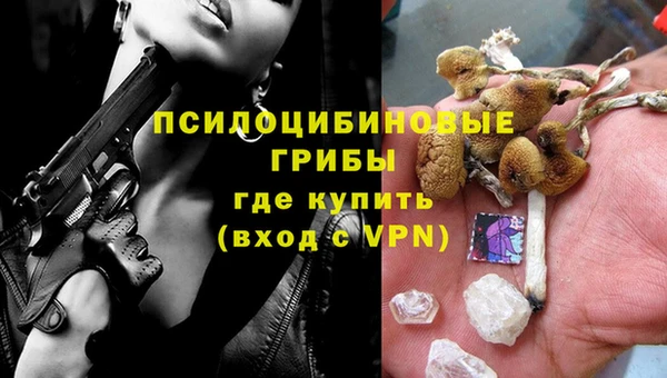 spice Беломорск